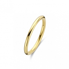 SPIRIT ICONS Basic Ring silber vergoldet