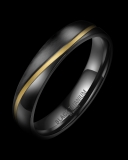 Black Titanium Modell Herrenring H-BT-01